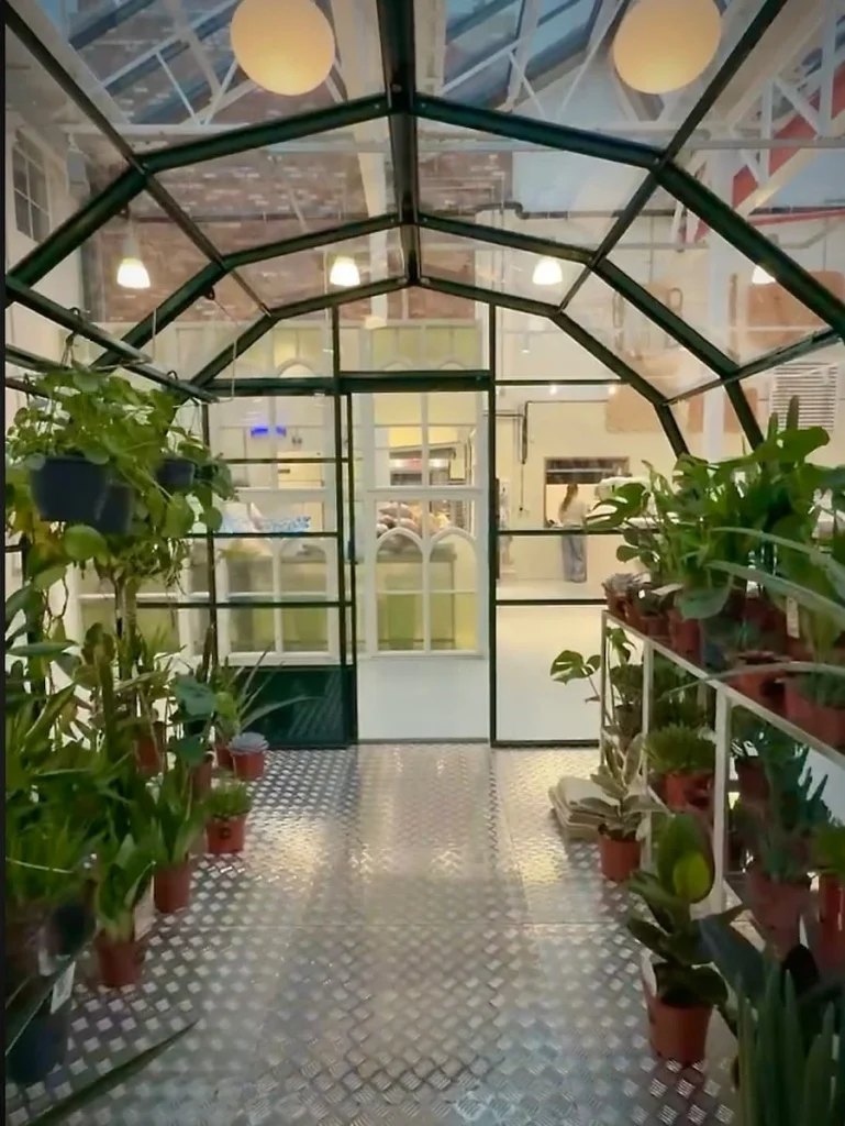 Green House filled with plants at Public & Plants, Leicester. There is a walkway in the centre with plants at either side.