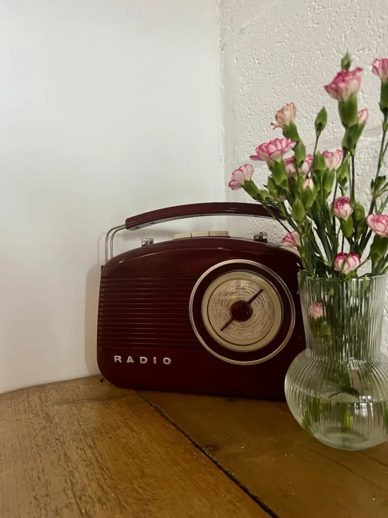 Retro brown radio with vase of pink carnations at Bitsys Emporium, Leicester