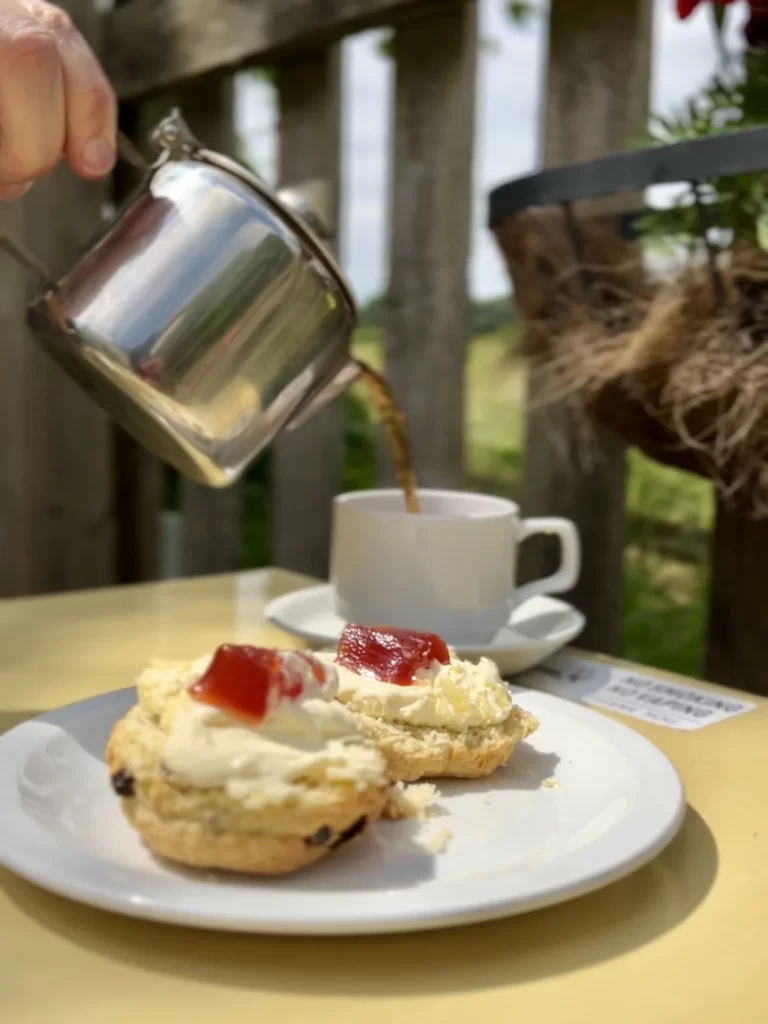 Cream tea with scones and a cup of tea with countryside views at King's Lock Tea Rooms, Leicester
