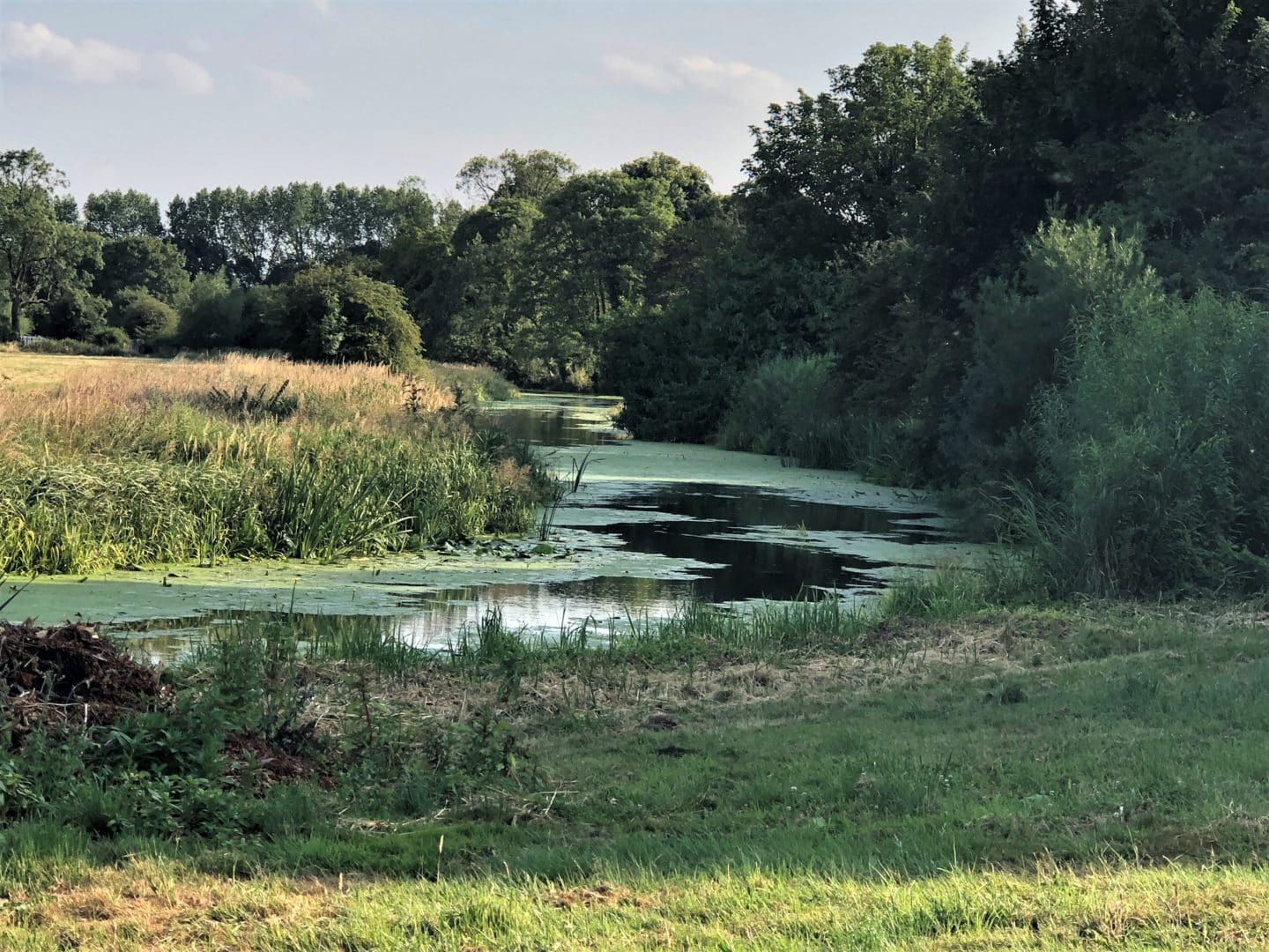River Eye at Sysonby Knoll Hotel