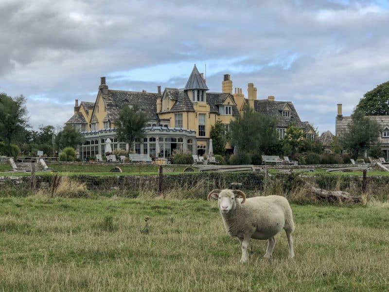 Plush snuggling at The Pig on The Beach, Dorset Plush snuggling at The Pig on The Beach, Dorset