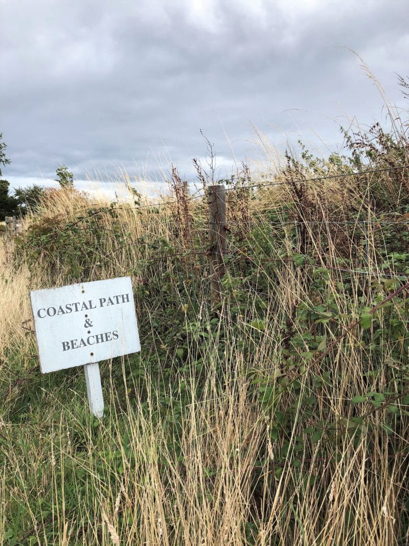 Plush snuggling at The Pig on The Beach, Dorset Plush snuggling at The Pig on The Beach, Dorset