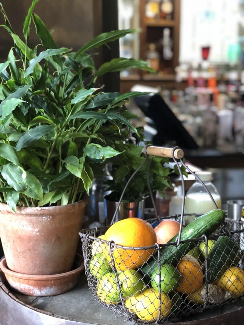 Plush snuggling at The Pig on The Beach, Dorset Plush snuggling at The Pig on The Beach, Dorset