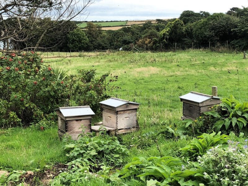 Plush snuggling at The Pig on The Beach, Dorset Plush snuggling at The Pig on The Beach, Dorset