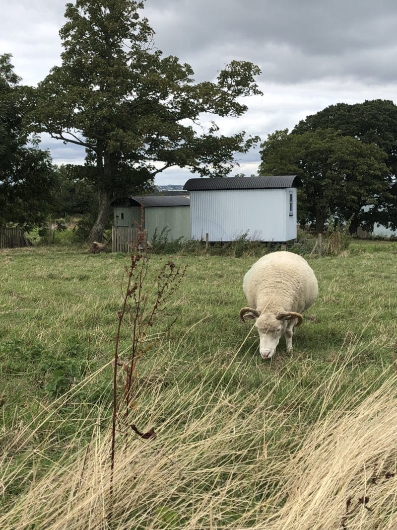 Plush snuggling at The Pig on The Beach, Dorset Plush snuggling at The Pig on The Beach, Dorset