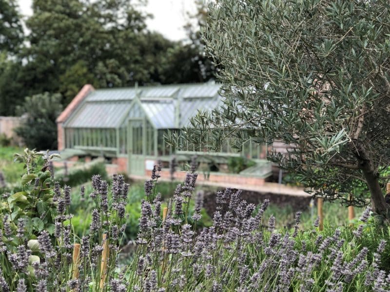 Plush snuggling at The Pig on The Beach, Dorset Plush snuggling at The Pig on The Beach, Dorset