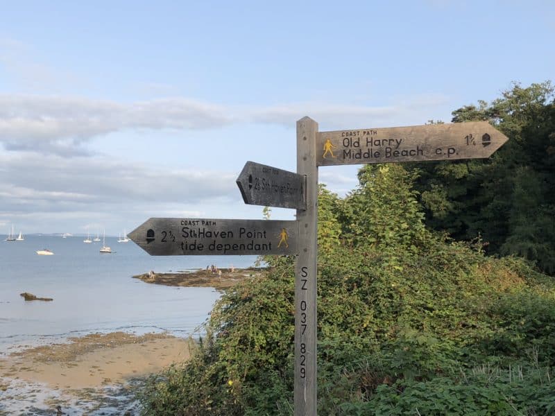 Plush snuggling at The Pig on The Beach, Dorset Plush snuggling at The Pig on The Beach, Dorset