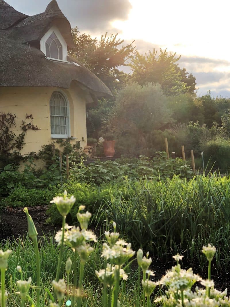 Plush snuggling at The Pig on The Beach, Dorset Plush snuggling at The Pig on The Beach, Dorset