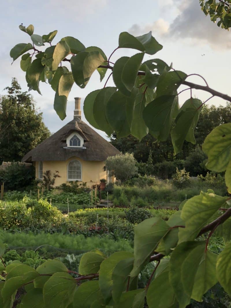 Plush snuggling at The Pig on The Beach, Dorset Plush snuggling at The Pig on The Beach, Dorset