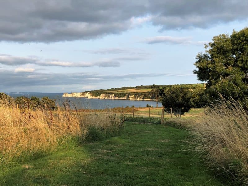 Plush snuggling at The Pig on The Beach, Dorset Plush snuggling at The Pig on The Beach, Dorset