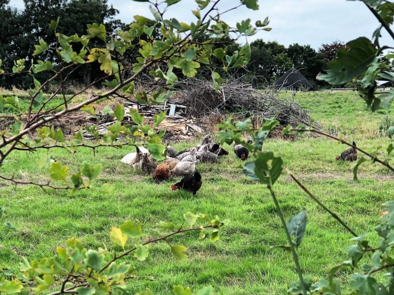 Plush snuggling at The Pig on The Beach, Dorset Plush snuggling at The Pig on The Beach, Dorset