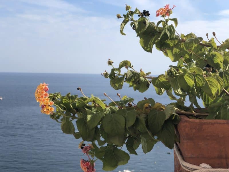 Old Meets New at Grand Hotel Convento di Amalfi