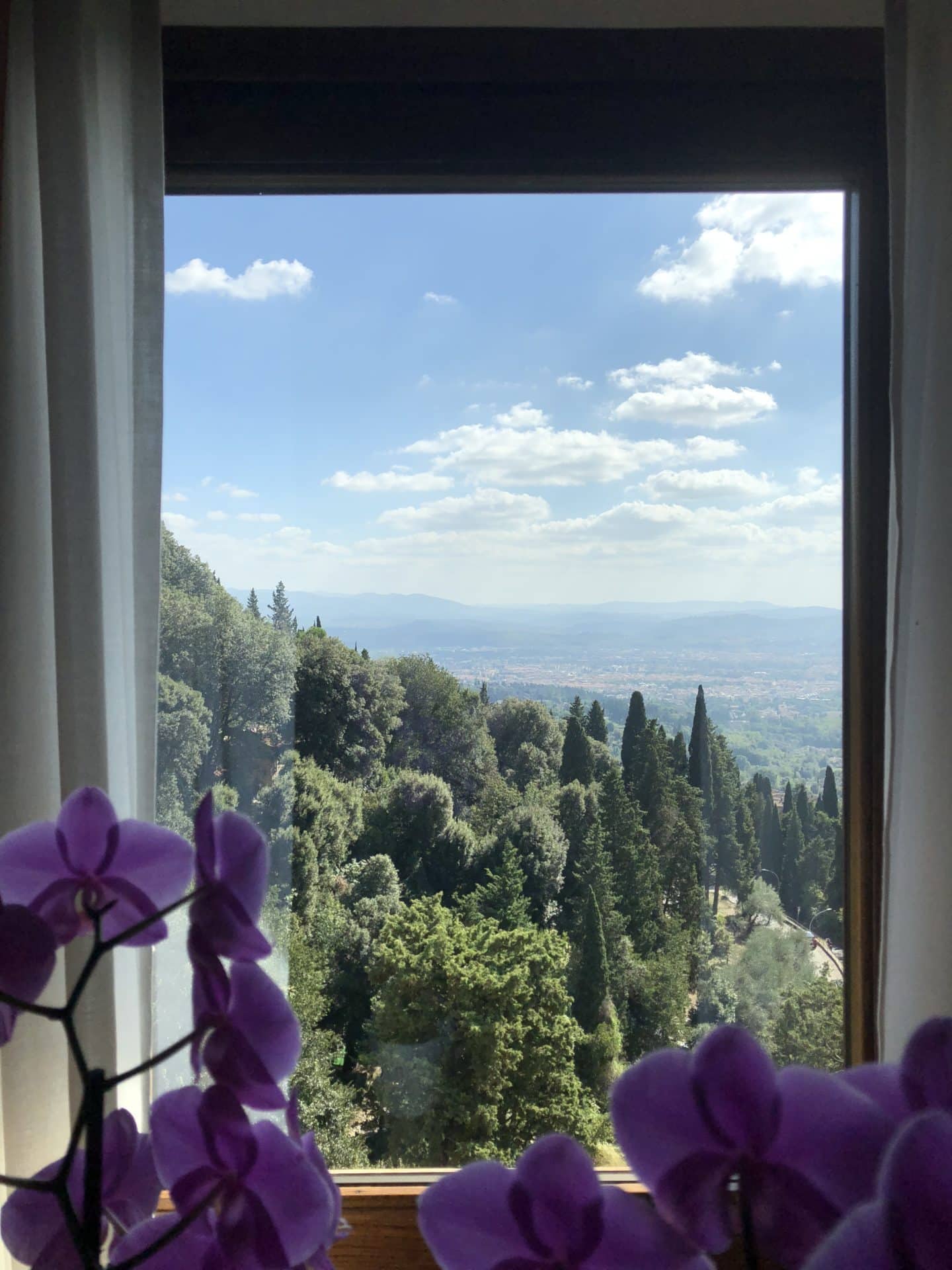 Dark pink orchid in a vase on table in front of a window in the bedroom overlooking teh tall trees and hills of Fiesole