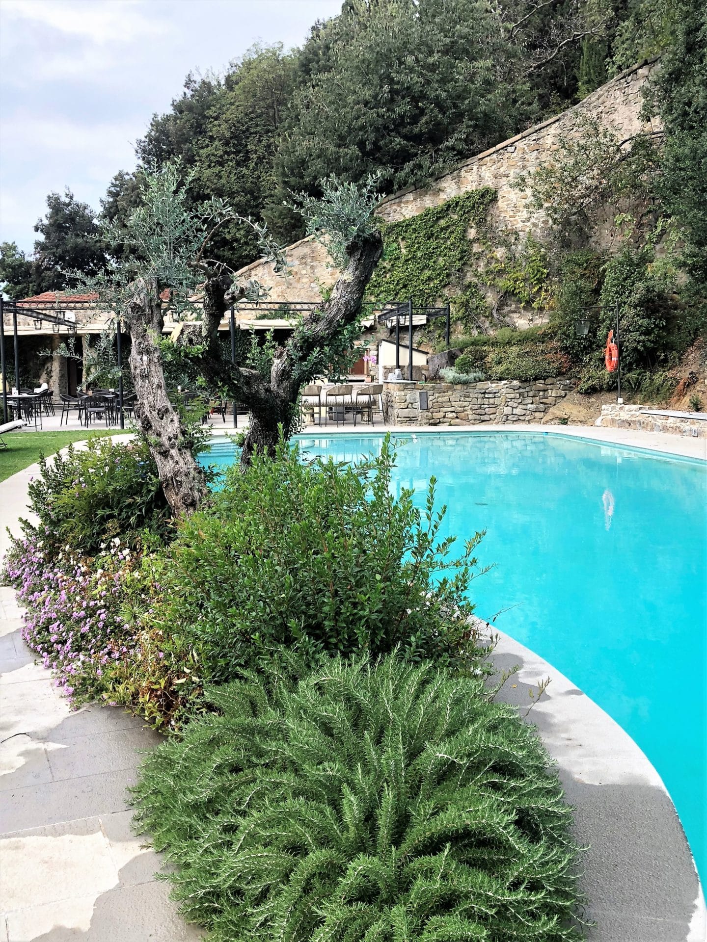 The small kidney shaped poo to the right with shrubs on the left and the pool bar in the background.