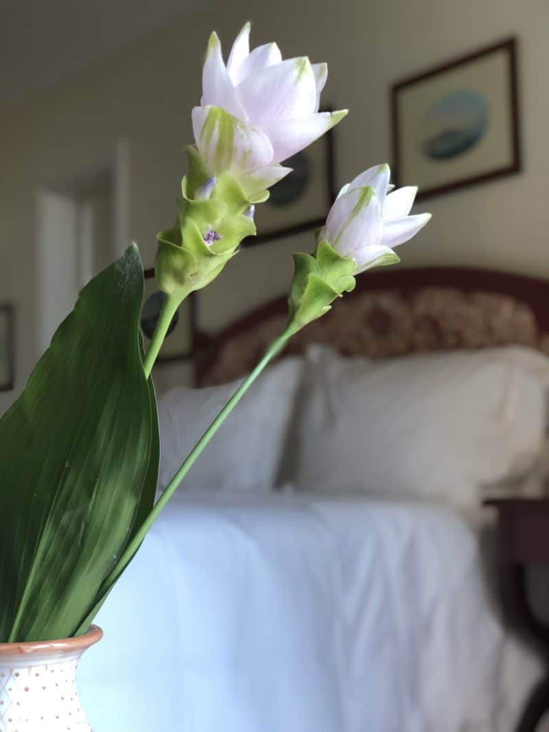 Coastal Splendour at The Belmond Hotel Caruso, Ravello