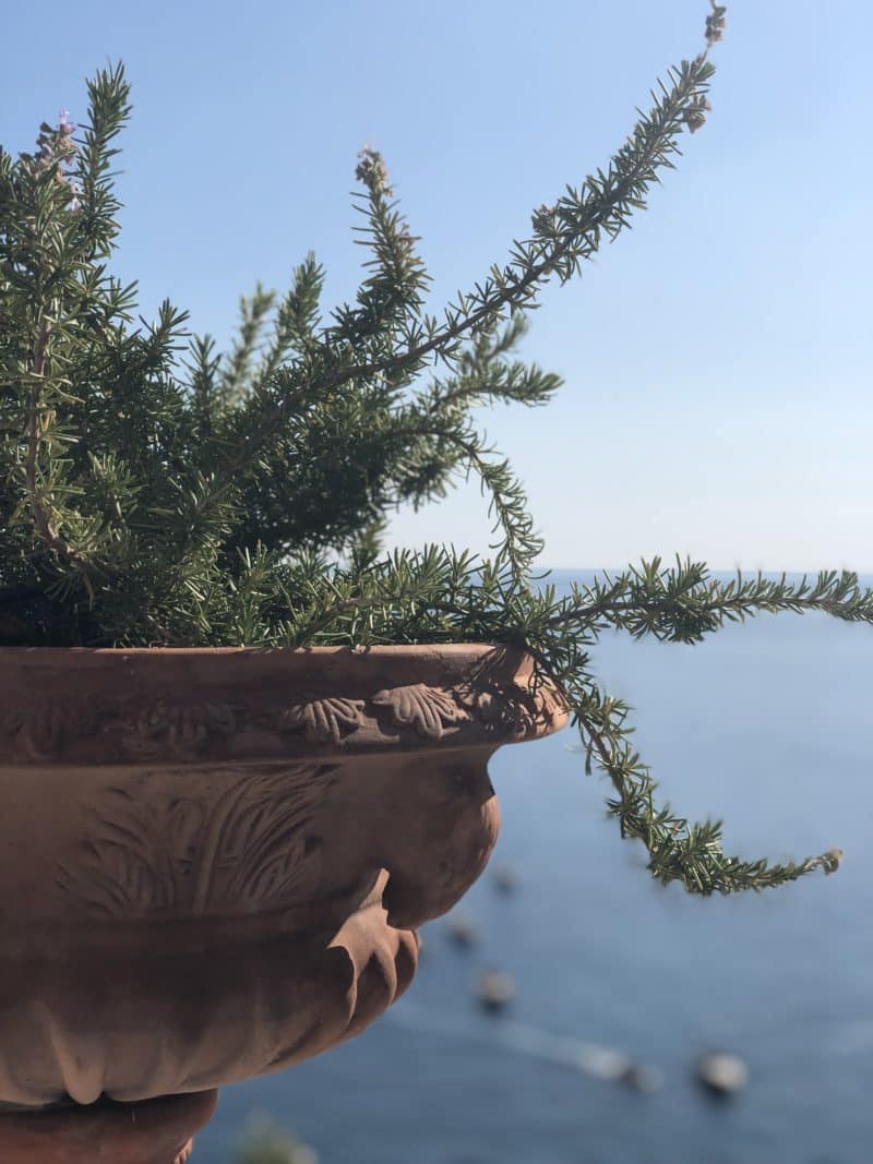 Top 5 Day Trips from Positano