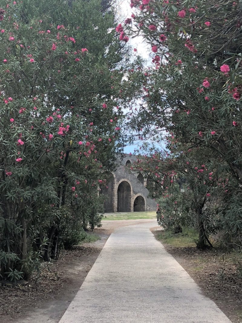 Top 5 Day Trips from Positano