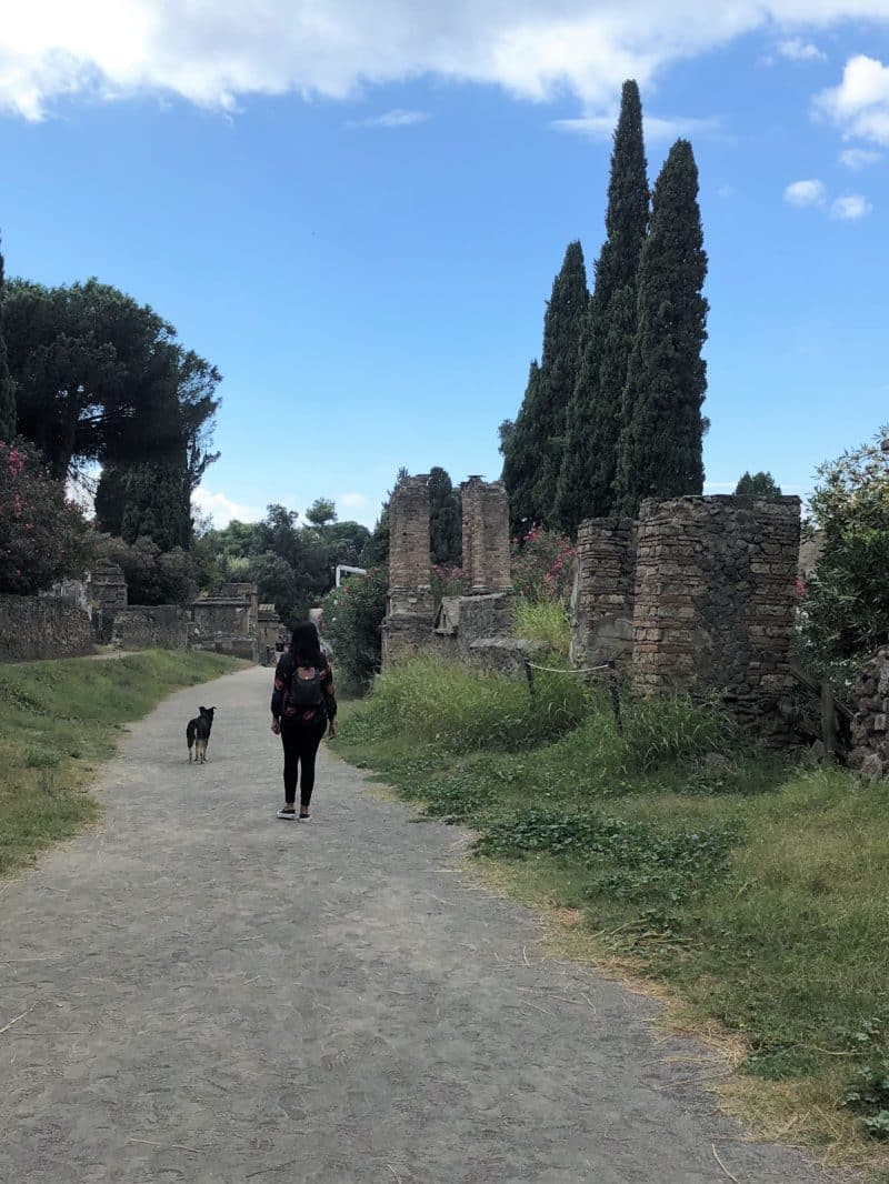 Top 5 Day Trips from Positano