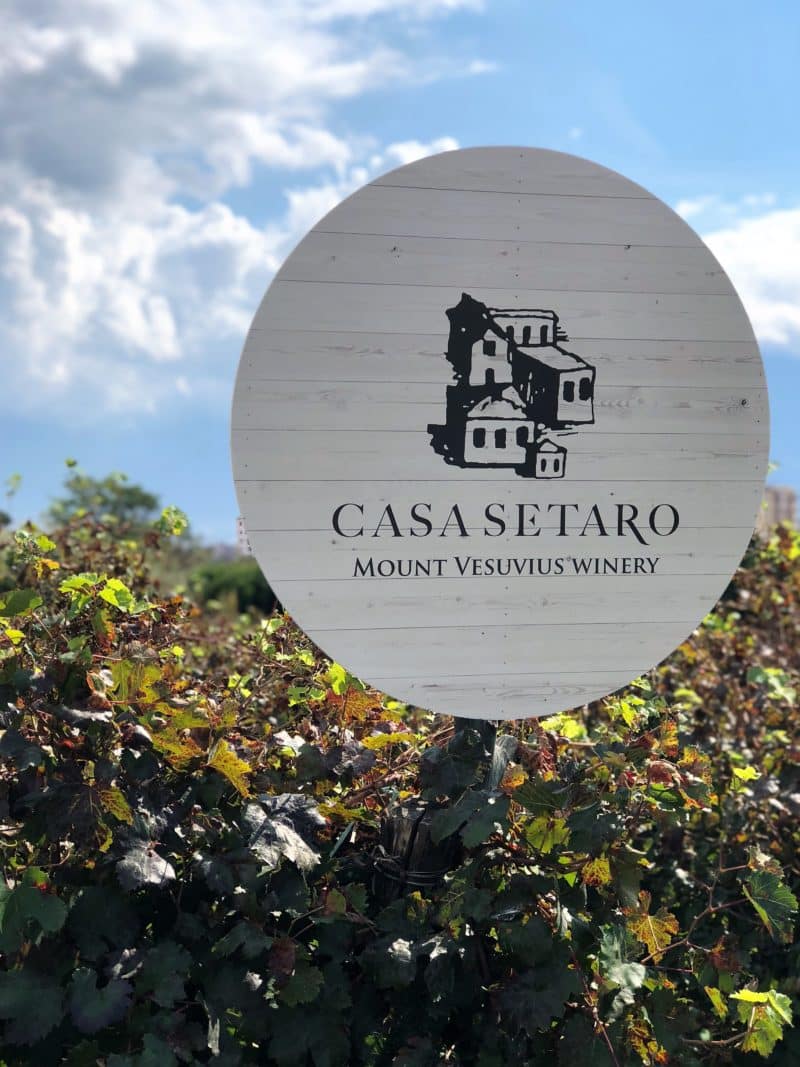 Top 5 Day Trips from Positano