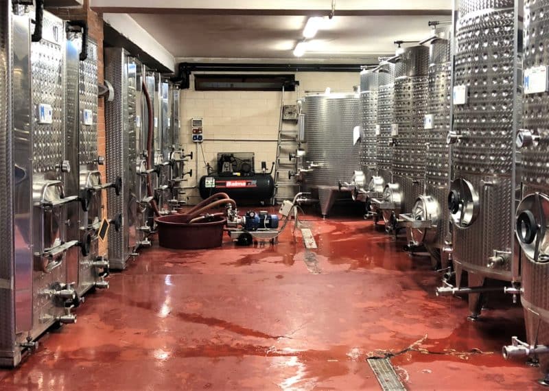 Top 5 Day Trips from Positano