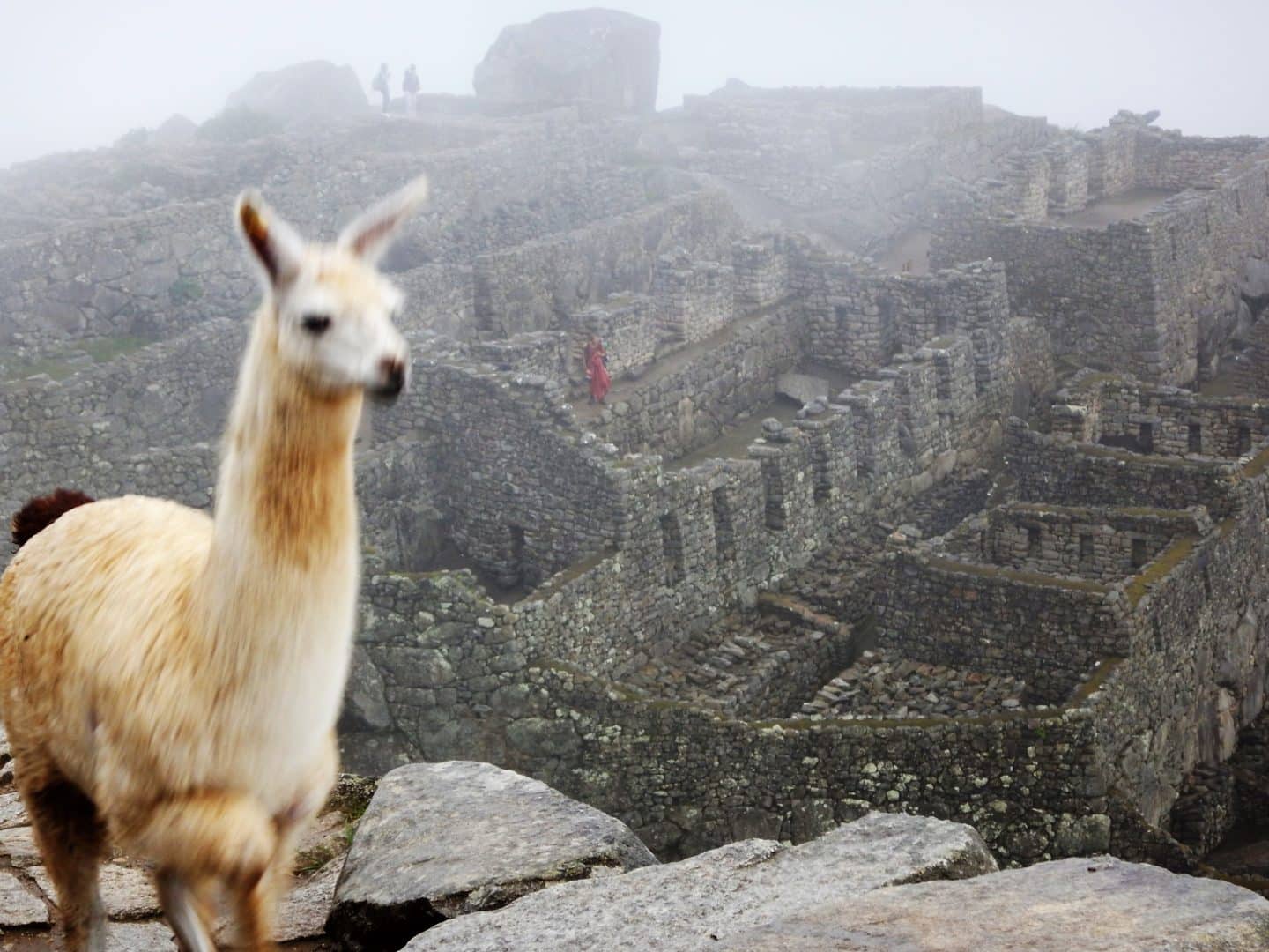 To Peru, with Love this Valentines