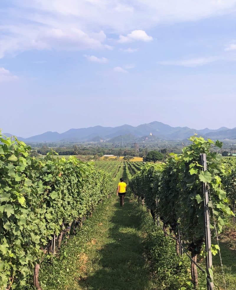 Top 12 Things to do in Hua Hin Top 12 Things to do in Hua Hin