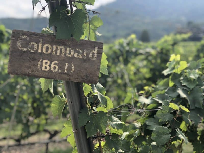 Top 12 Things to do in Hua Hin Top 12 Things to do in Hua Hin