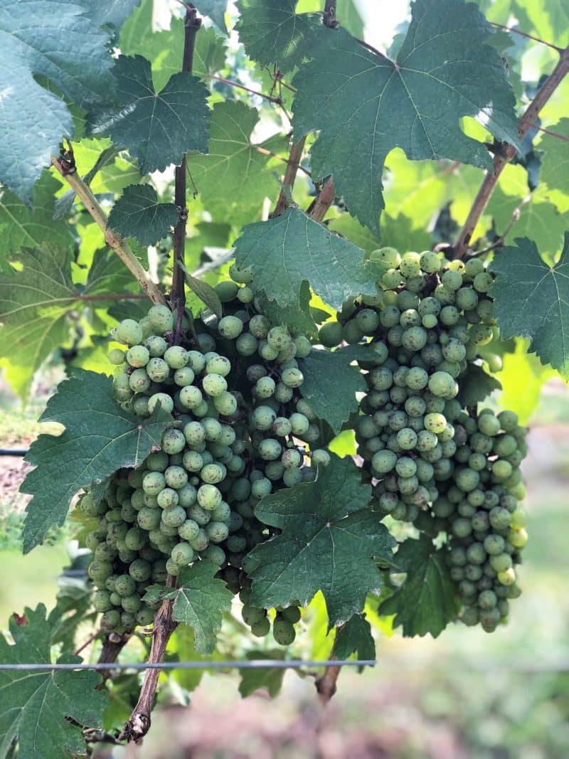 Top 12 Things to do in Hua Hin Top 12 Things to do in Hua Hin