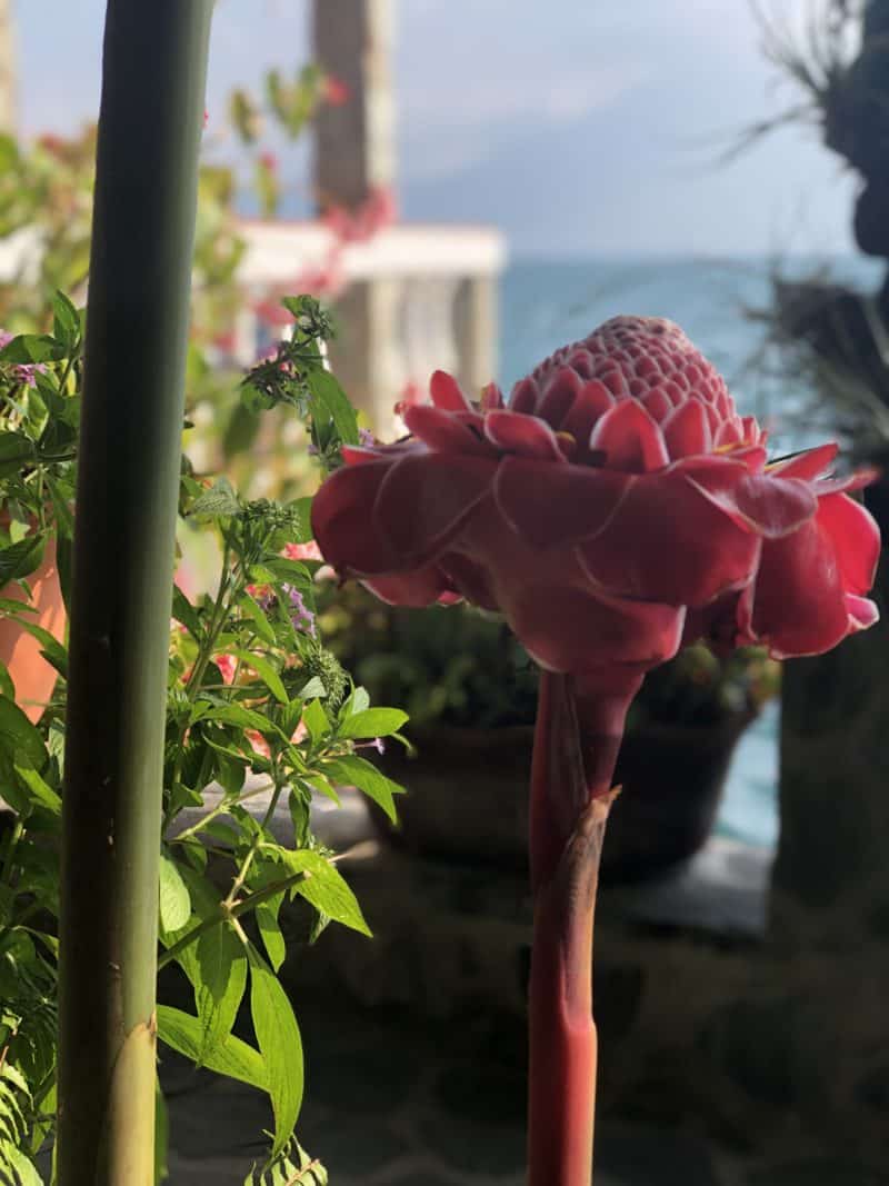 Things to do from La Casa del Mundo, Lake Atitlán, Guatemala