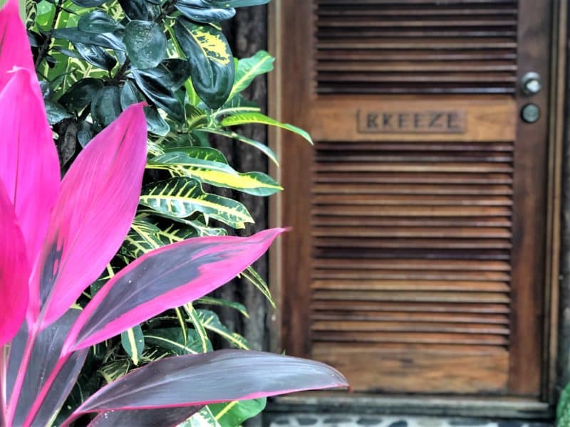 Gaia River Lodge, Mountain Pine Ridge Reserve Lodge, Belize