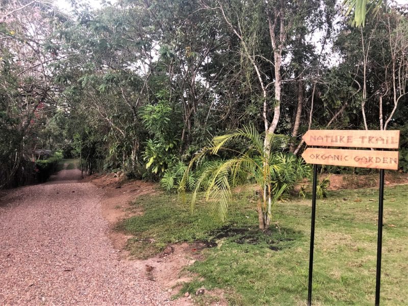 Gaia River Lodge, Mountain Pine Ridge Reserve Lodge, Belize
