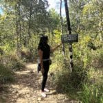 Gaia River Lodge, Mountain Pine Ridge Reserve Lodge, Belize