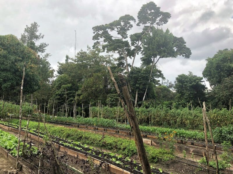 Gaia River Lodge, Mountain Pine Ridge Reserve Lodge, Belize
