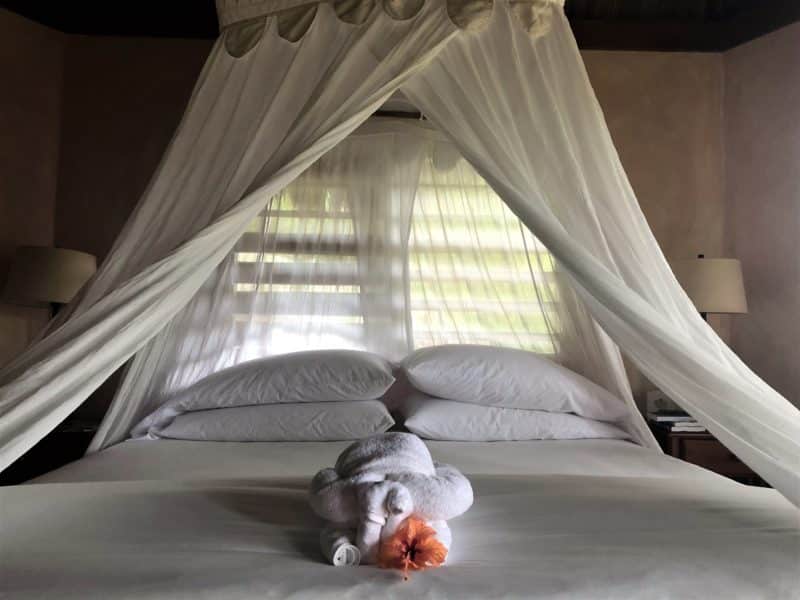 Gaia River Lodge, Mountain Pine Ridge Reserve Lodge, Belize