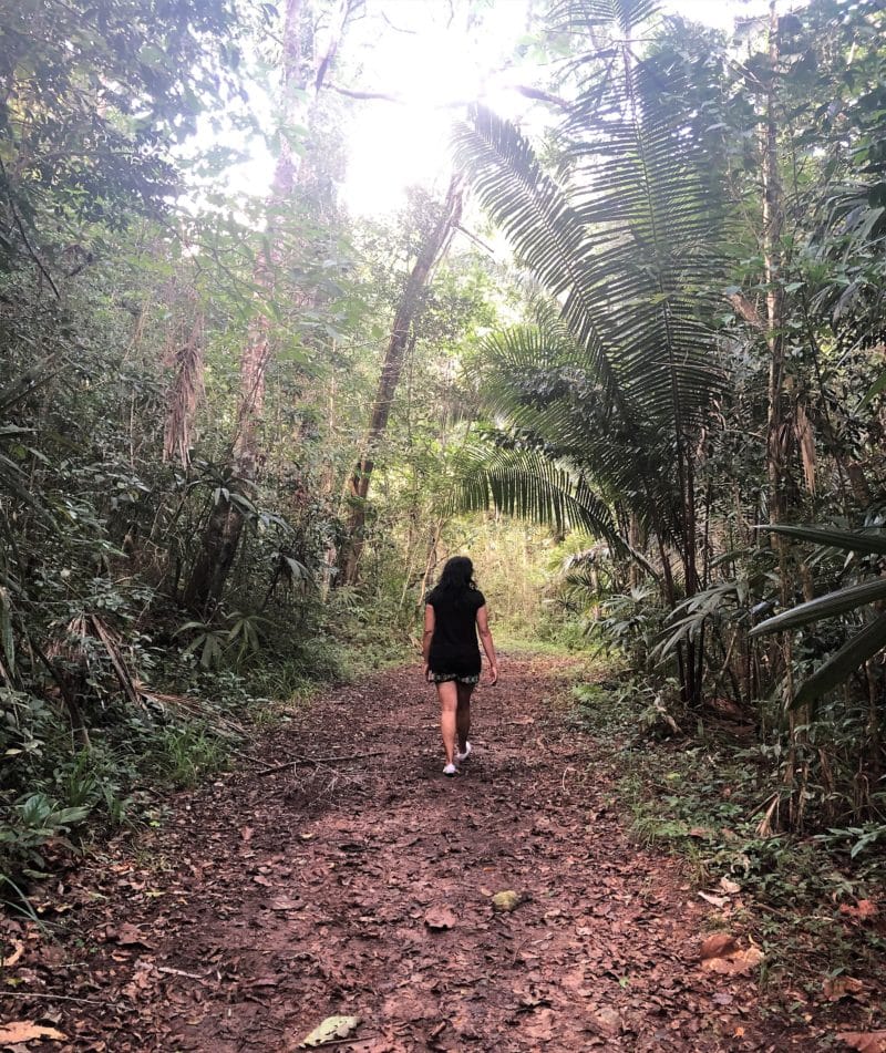 Gaia River Lodge, Mountain Pine Ridge Reserve Lodge, Belize