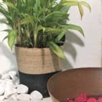 Matachica: An Island Escape on Ambergris Caye, Belize