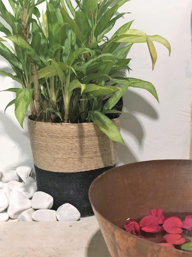 Matachica: An Island Escape on Ambergris Caye, Belize