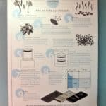 Matachica: An Island Escape on Ambergris Caye, Belize