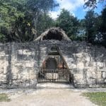 The Ancient Mayan City of Tikal, Guatemala