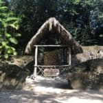 The Ancient Mayan City of Tikal, Guatemala