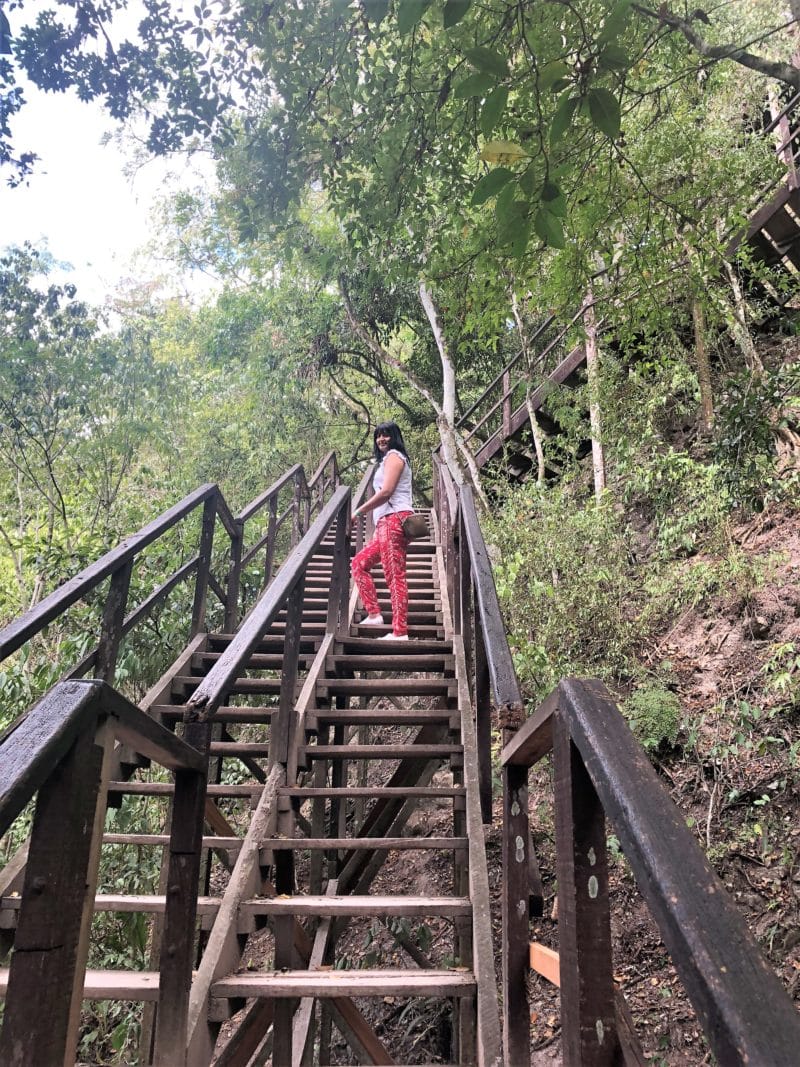 The Ancient Mayan City of Tikal, Guatemala