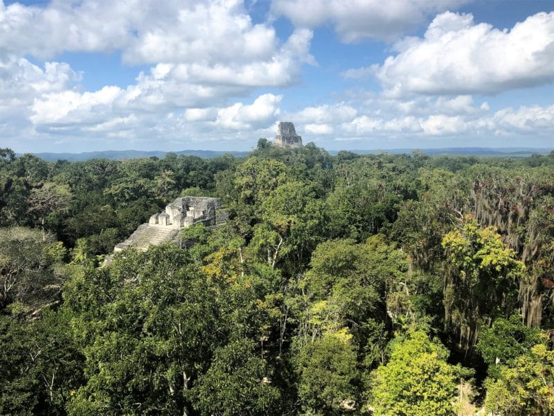 The Ancient Mayan City of Tikal, Guatemala
