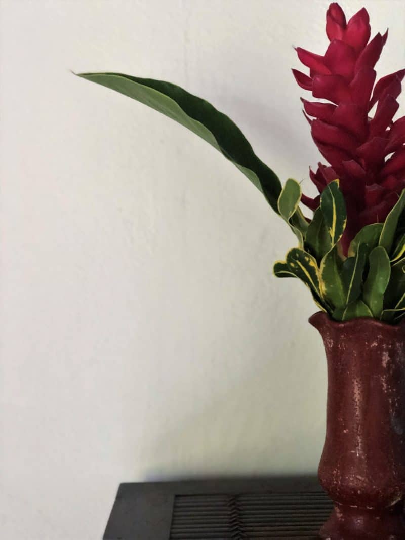 La Lancha: A Hideaway on the banks of Lake Peten, Guatemala La Lancha: A Hideaway on the banks of Lake Peten, Guatemala