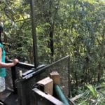 La Lancha: A Hideaeay on the banks of Lake Peten, Guatemala