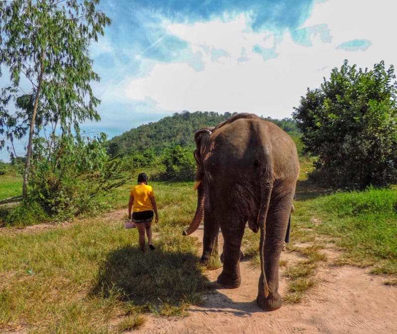 10 Ways to Increase Sustainability and Eco-Tourism