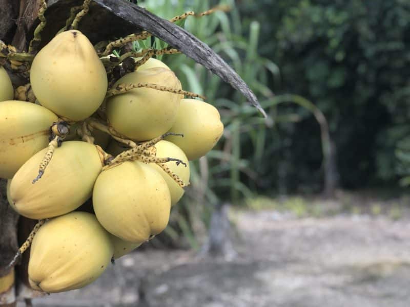 10 Ways to Increase Sustainability and Eco-Tourism