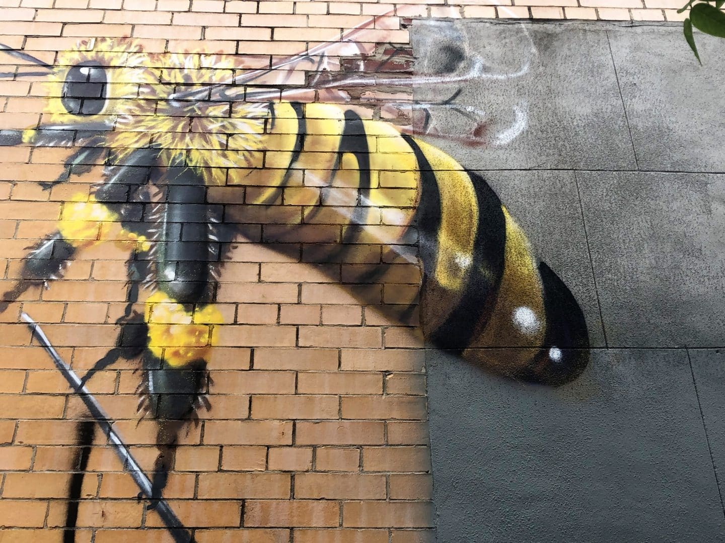 Bushwick Collective Street Art Tour