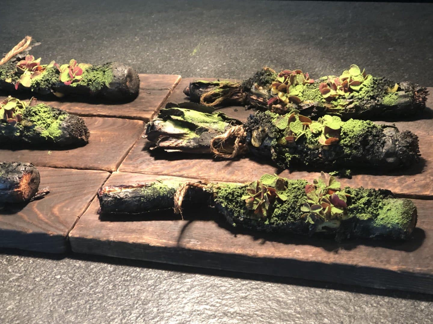 6 charred leeks and truffle on dark wooden boards at Noa Chef's Hall, Tallinn