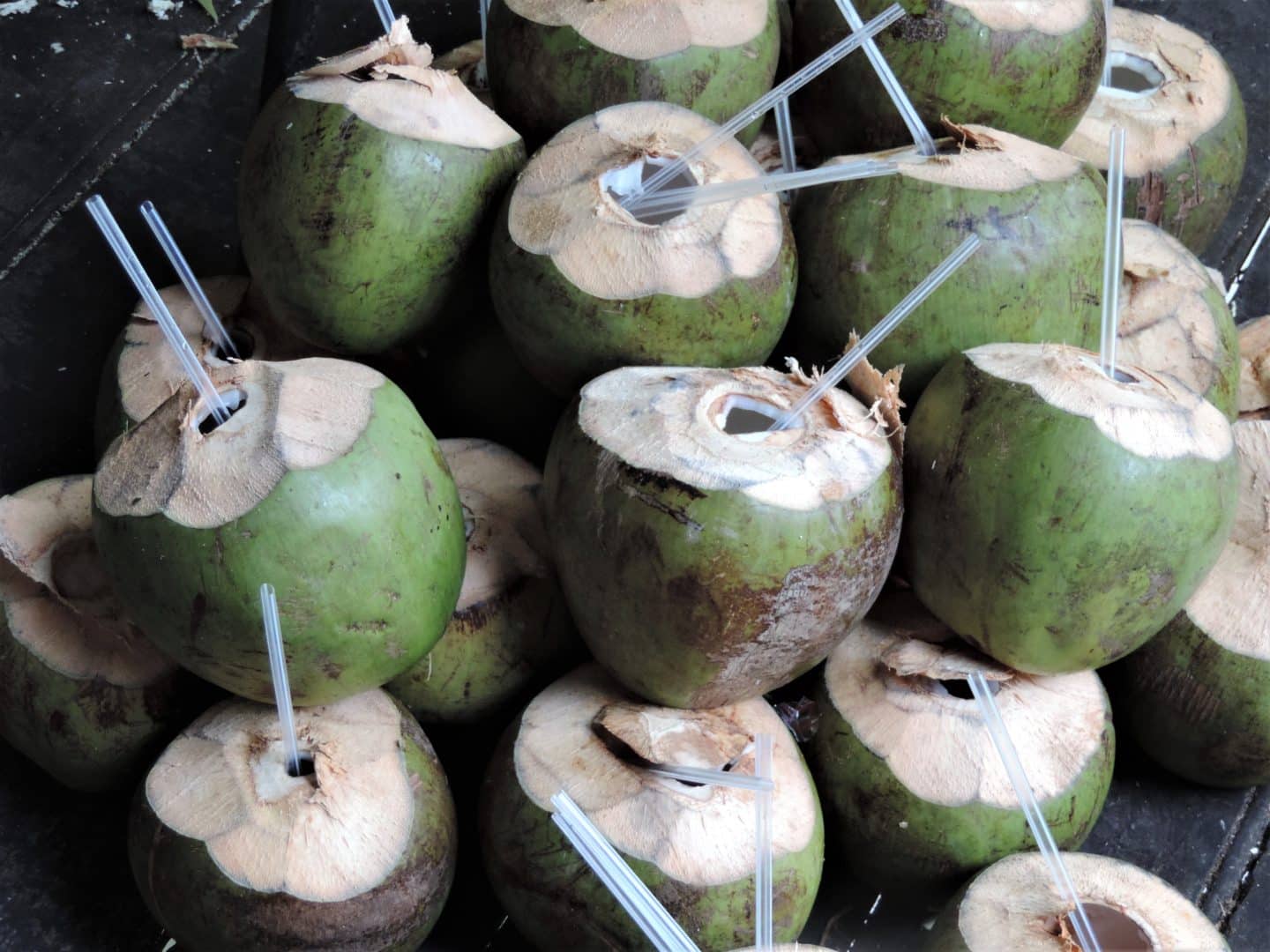 Halong Bay fresh coconuts with plastic straws coming out of the tops, all stacked up on top of each other. 