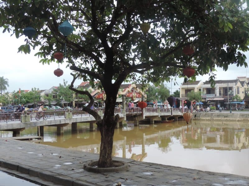 Tree and lanterns in Hoi An centre along the river and the bridge in the background